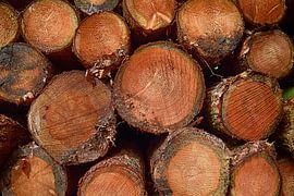 Pile de bois de troncs d'arbres