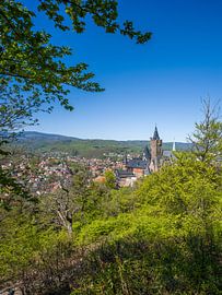 Wernigerode - Blick auf Schloss und Stadt von t.ART