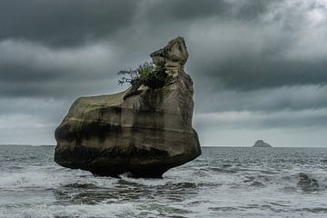 Rots in de zee bij Hahei, Nieuw-Zeeland van Niek