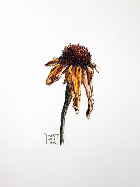 Dead flowers 4 by Ron van Vliet