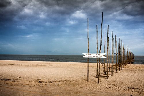 Steiger Waddenveer Texel-Vlieland v.v.