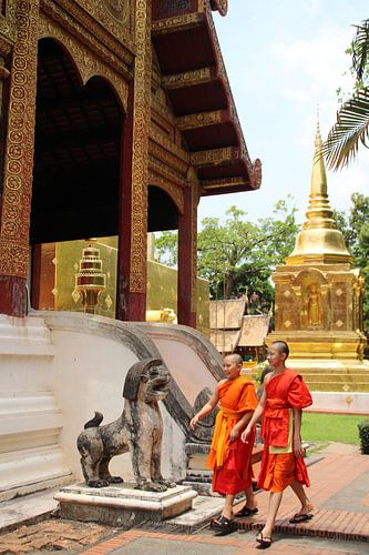 Monks of Chiang Mai