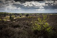 Holland - Postbank