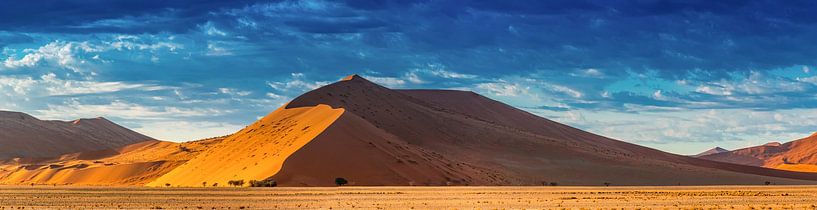 De rode duinen in de Sossusvlei in de ochtendzon, Namibië van Rietje Bulthuis