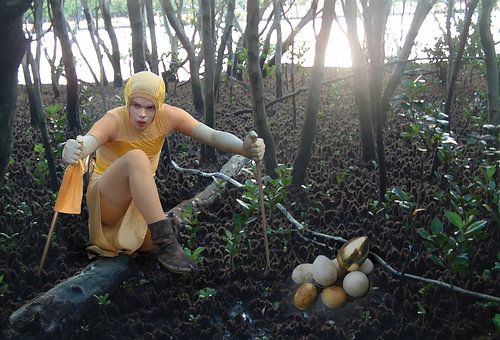 Mission Accomplished