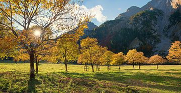goldener Herbst am Ahornboden im Karwendel, Abendstimmung in den Bergen