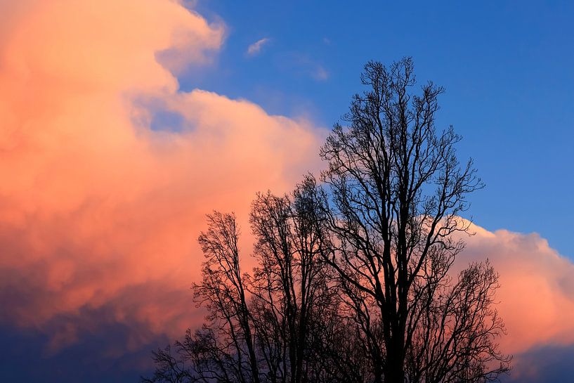 Winterhimmel von Thomas Jäger