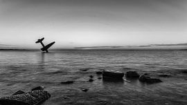 Vliegtuig Harderwijk by Jeroen Weideman