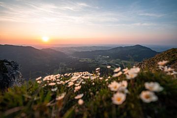 coucher de soleil fleuri sur le Sorgschrofen sur Leo Schindzielorz