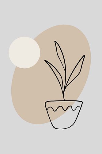 Minimalist Plant Illustration