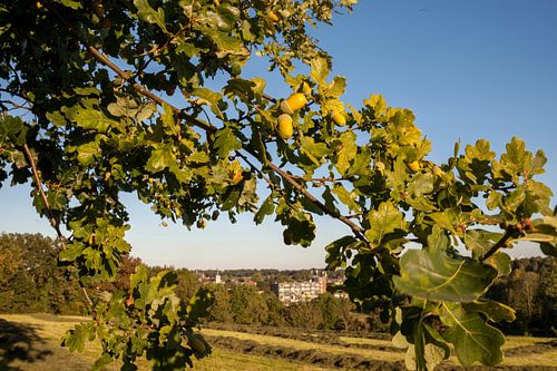 Simpelveld tijdens de herfst