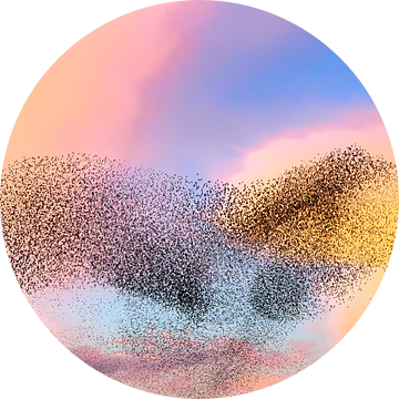 Spreeuwen wolk tijdens zonsondergang