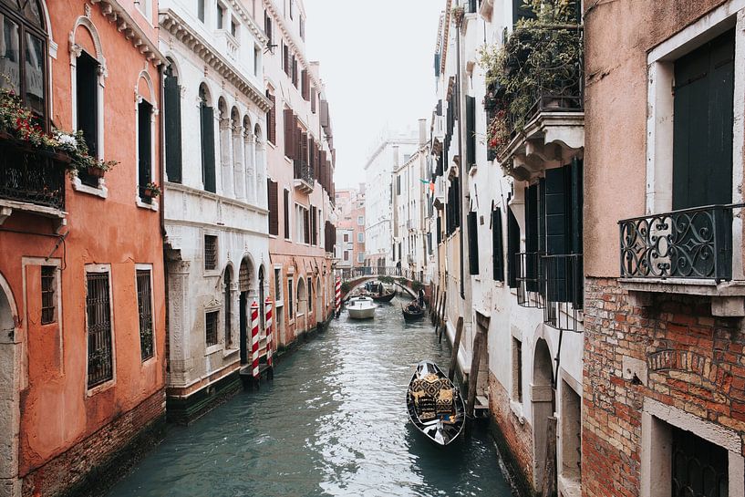 Venice by Hello Pompoyo