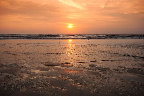 Sunset at the beach