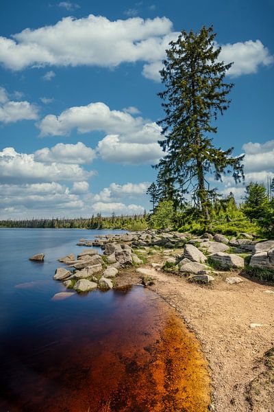 Uitzicht op de Oderteich vijver in het Harz gebergte in Duitsland van Andreas Völkel