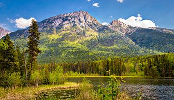 Paysages de montagne au Yukon, Canada