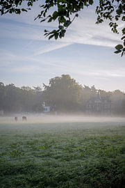 Hoekelum Castle - 4