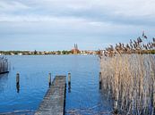 Urlaub am Neuruppiner See in Brandenburg von Animaflora PicsStock Miniaturansicht