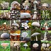 Mooie collage met witte paddenstoelen van Jolanda Aalbers