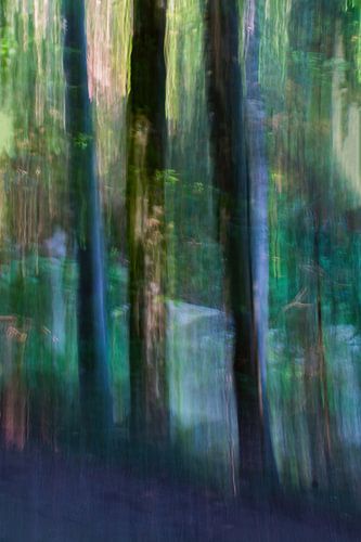 Through the trees... II