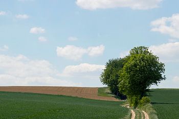 minimalistisch landschap