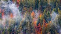 L'automne dans les Dolomites, Italie par Henk Meijer Photography Aperçu