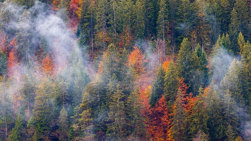 Autumn in the Dolomites, Italy by Henk Meijer Photography