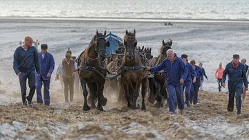 Roeireddingboot Terschelling van Roel Ovinge