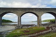 Ardnambuth Viadukt von Babetts Bildergalerie Miniaturansicht