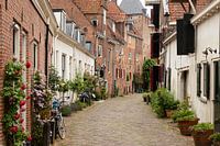 Een smal straatje met bloempotten