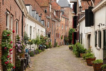 A narrow street with flowerpots by Jan van der Wolf