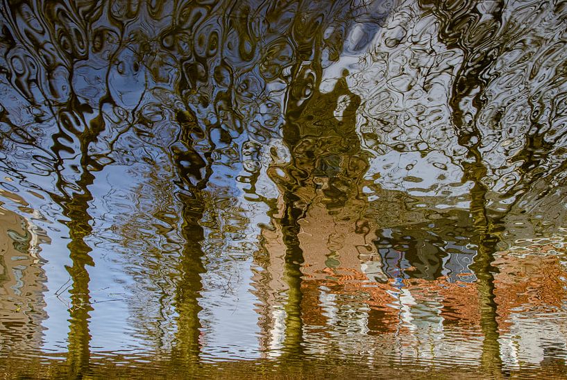 streetscape with trees by Reinier de Rooie