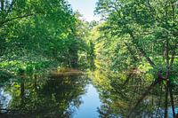La verdure au cœur de la ville