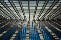 Lijnen in de architectuur