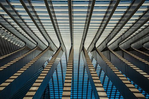 Lijnen in de architectuur