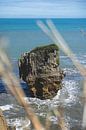 Pancake Rocks: New Zealand's Geological Work of Art by Ken Tempelers thumbnail