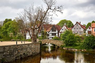 Paderquellgebit in Paderborn van Stefanie Orlati