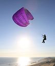 Purple flight van Patrick Riemens thumbnail