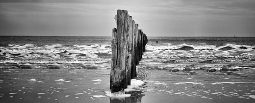 Panorama kust Cadzand