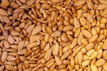 Graines de tournesol saines fond alimentaire texture snack sur de-nue-pic