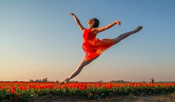 Ballerina jump by peterheinspictures