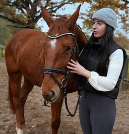 Training with the bay Oldenburg mare on a riding arena