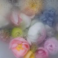Bloemen in ijs: romantische pastelkleuren