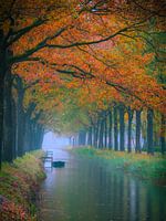 Herfstpracht in Friesland