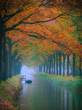 Herfstpracht in Friesland van Mark van der Walle