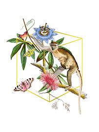 a Monkey Business Collage