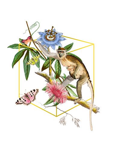 a Monkey Business Collage van Marja van den Hurk