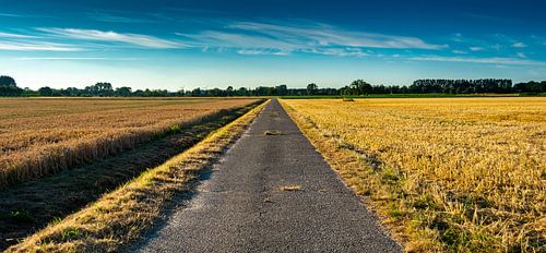 Kraats gebied 4 (Wageningen)