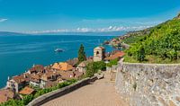 Vineyards on Lake Geneva, St-Saphorin, Vaud, Switzerland