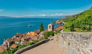 Vignobles sur le lac Léman, St-Saphorin, Vaud, Suisse sur Rene van der Meer